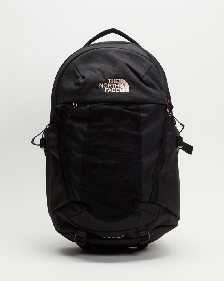 ريكون أسود الوجه الشمالي