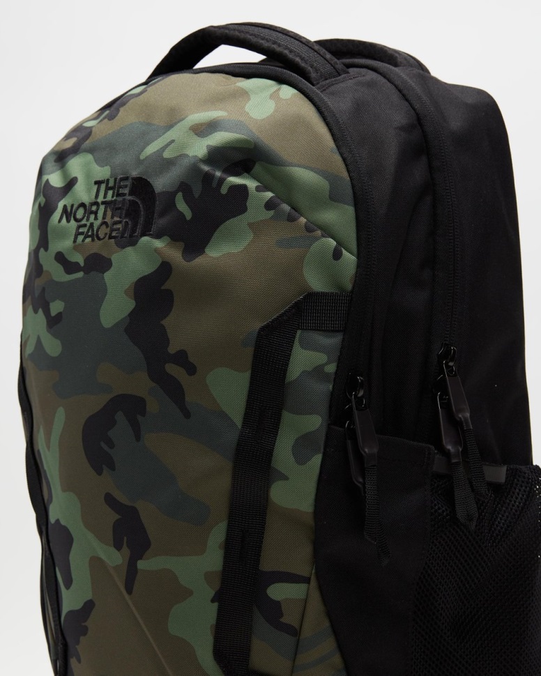 قبو وجهه شمالية بفرشاة الزعتر