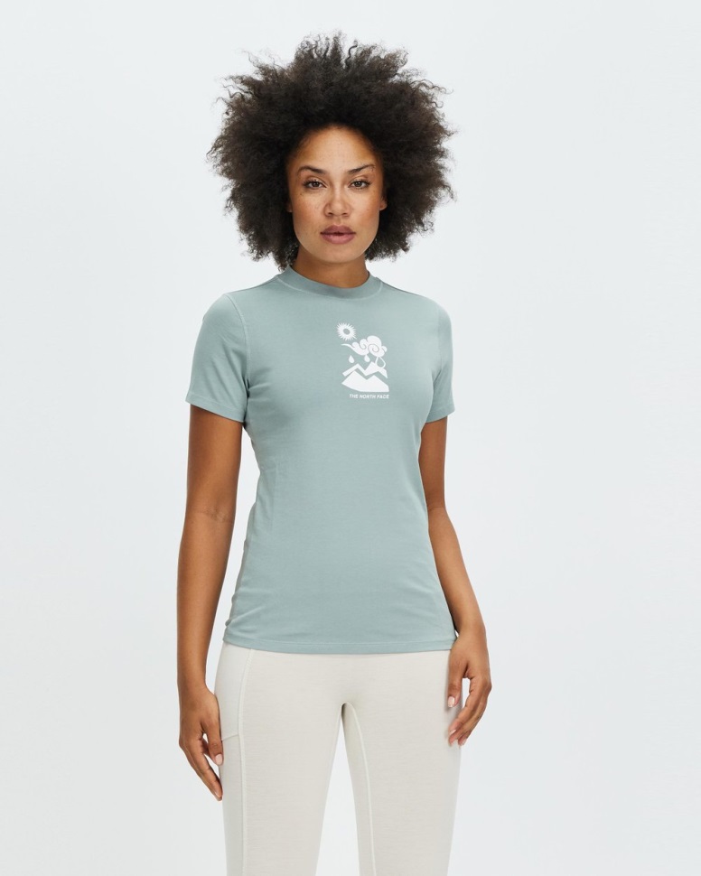 الفضة الزرقاء الوجه الشمالي قصيرة الأكمام مصدر زجاجة الهيمالايا المحملة