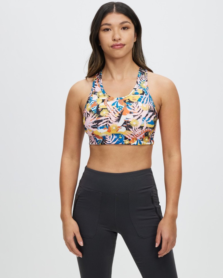 الأسود الدافع البرازيلي الوجه الشمالي