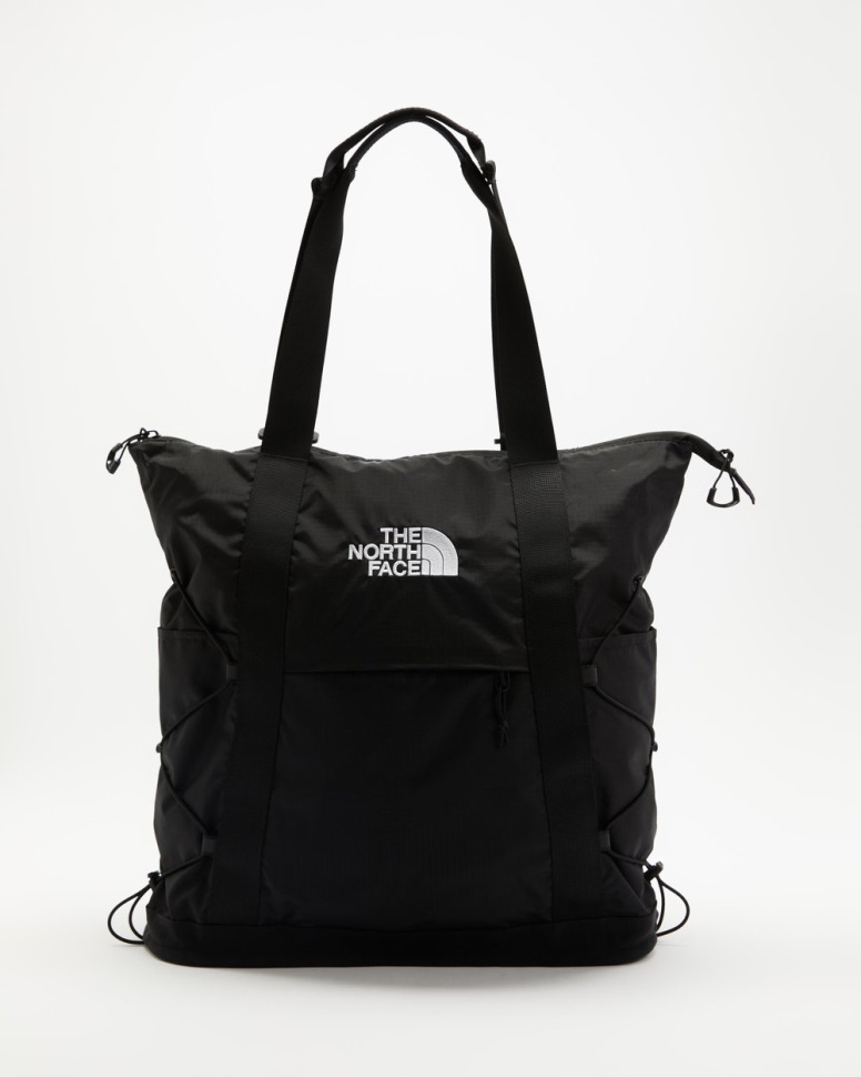 أسود بورياليس حمل الوجه الشمالي