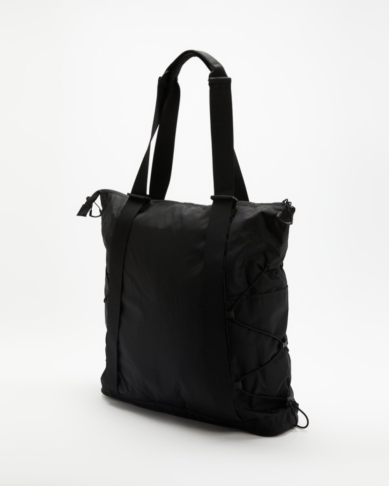 أسود بورياليس حمل الوجه الشمالي