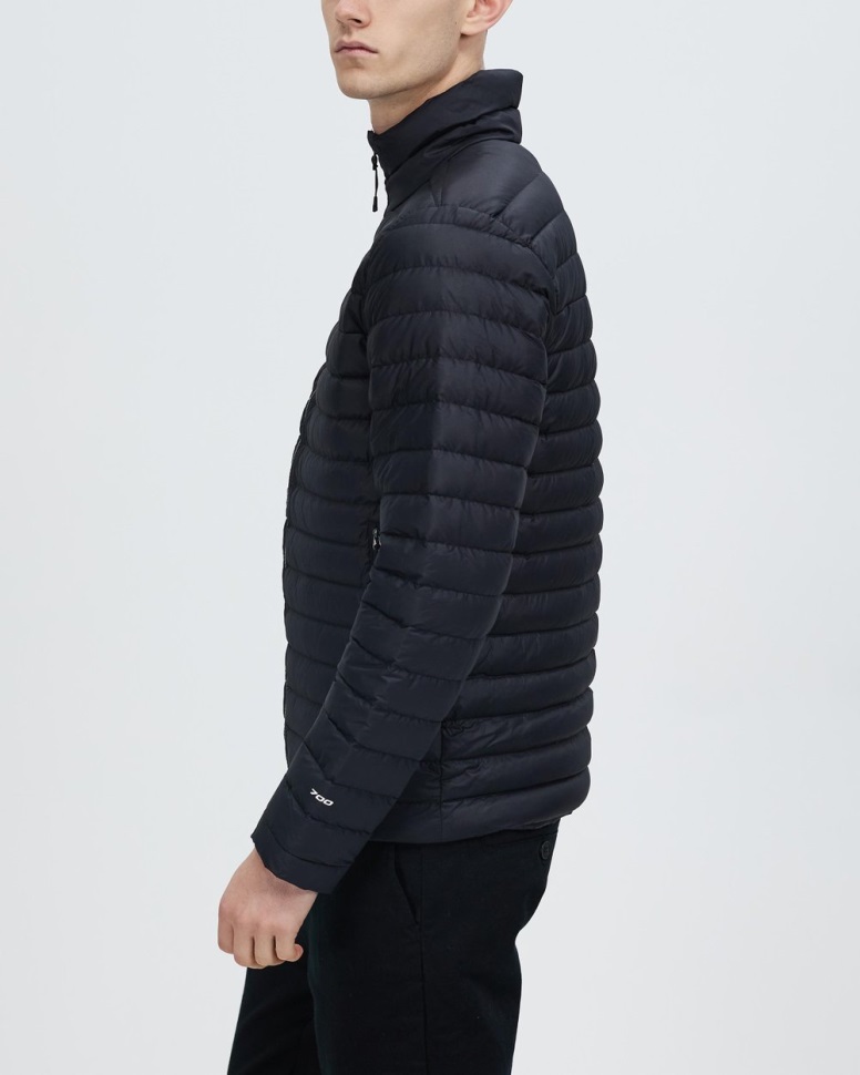 أسود الوجه الشمالي تمتد أسفل سترة