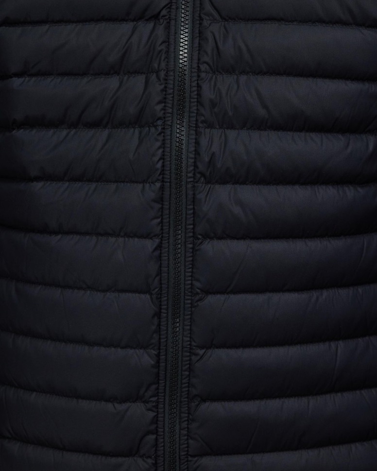 أسود الوجه الشمالي تمتد أسفل سترة