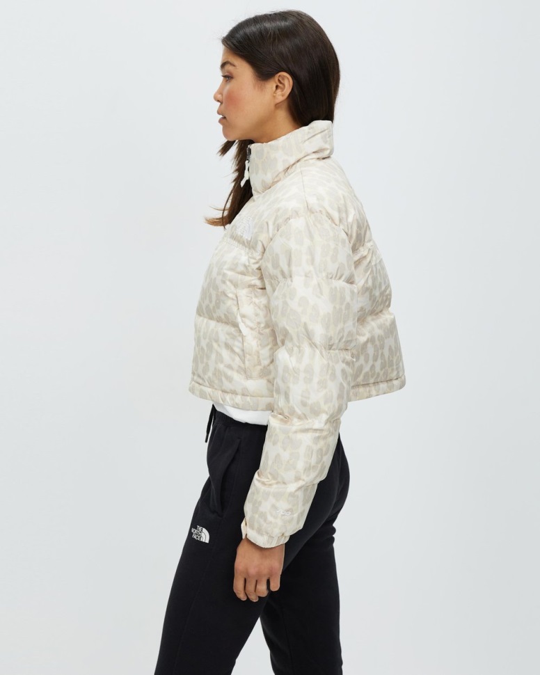 Nuptse سترة قصيرة رمادية الوجه الشمالي