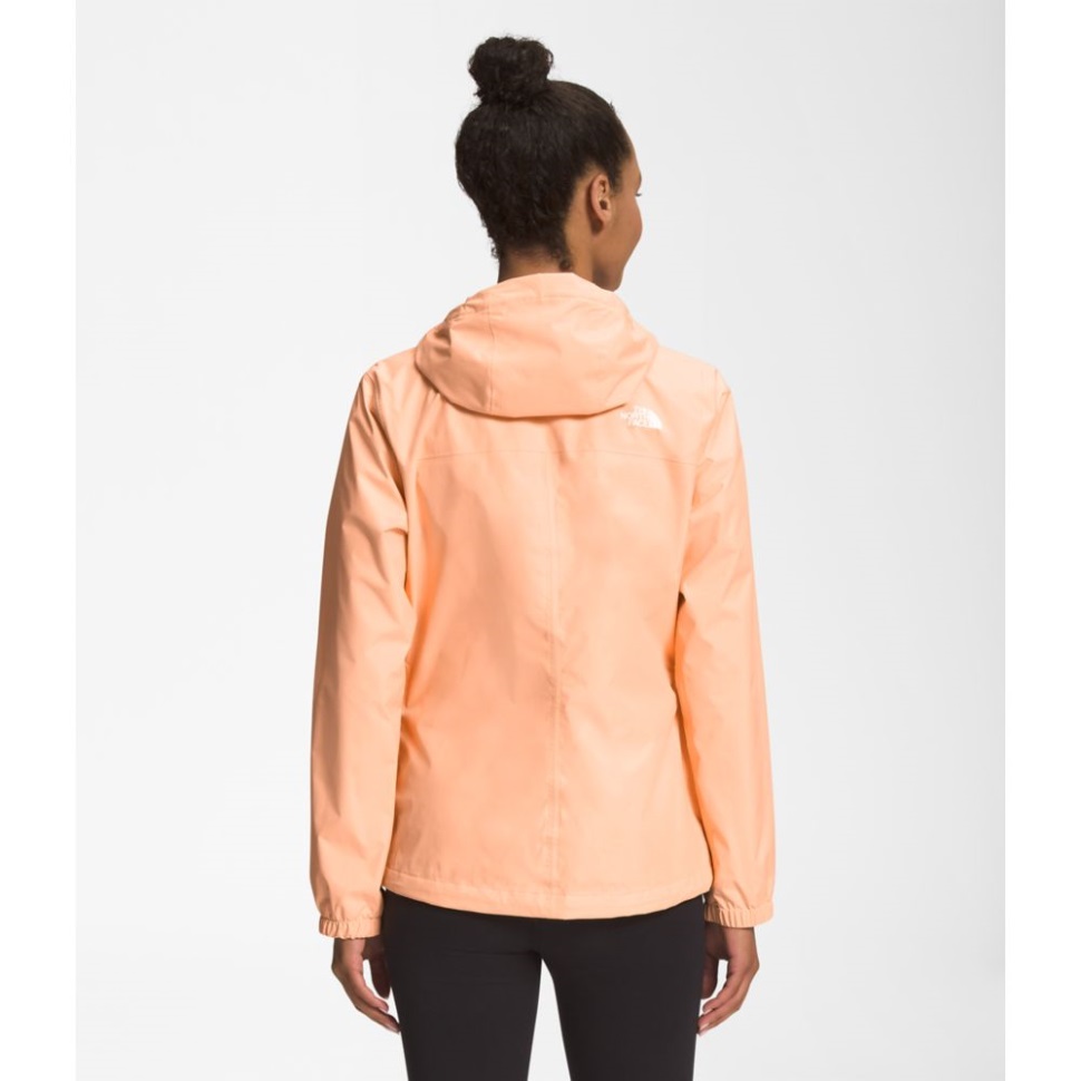 سترة أنتورا للنساء من مشمش الجليد