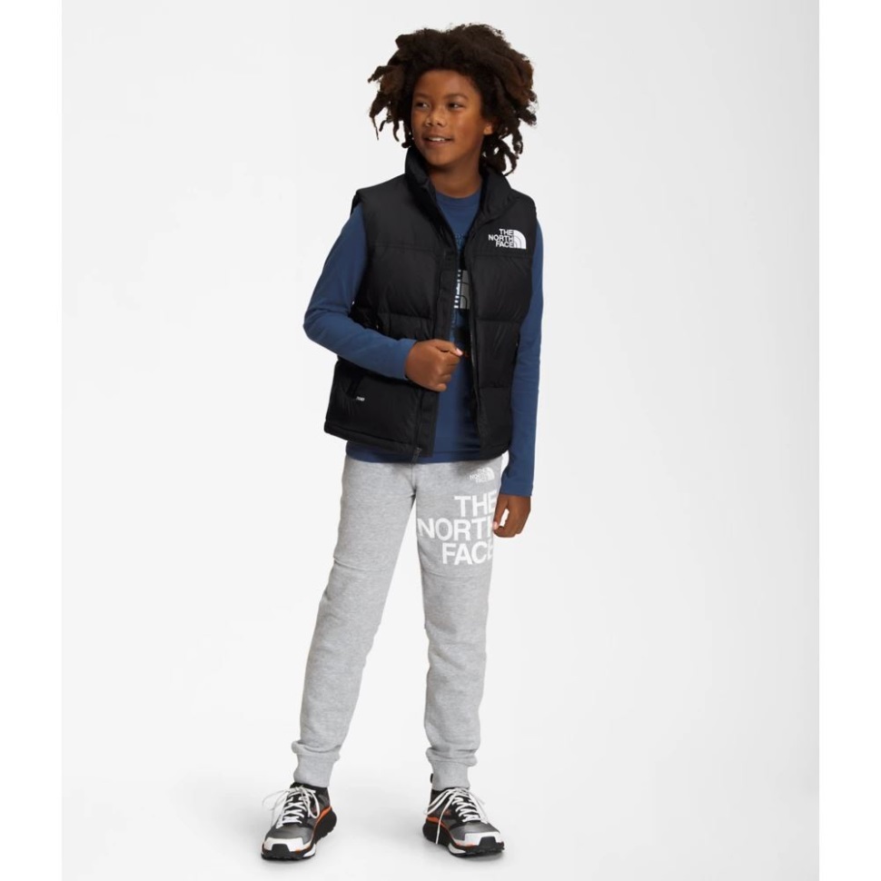 التين الأسود 1996 الرجعية Nuptse سترة الوجه الشمالي