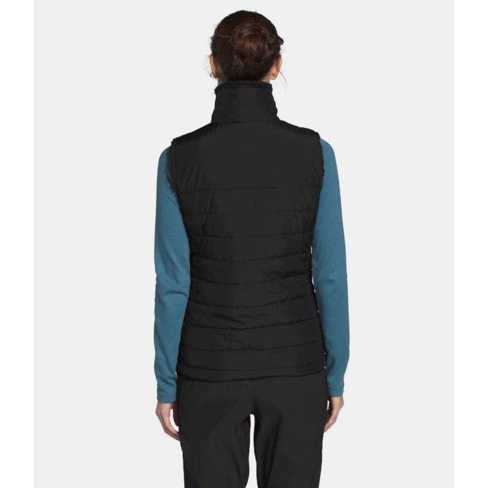 المرأة السوداء سترة عكسية معزول الطحلب الوجه الشمالي