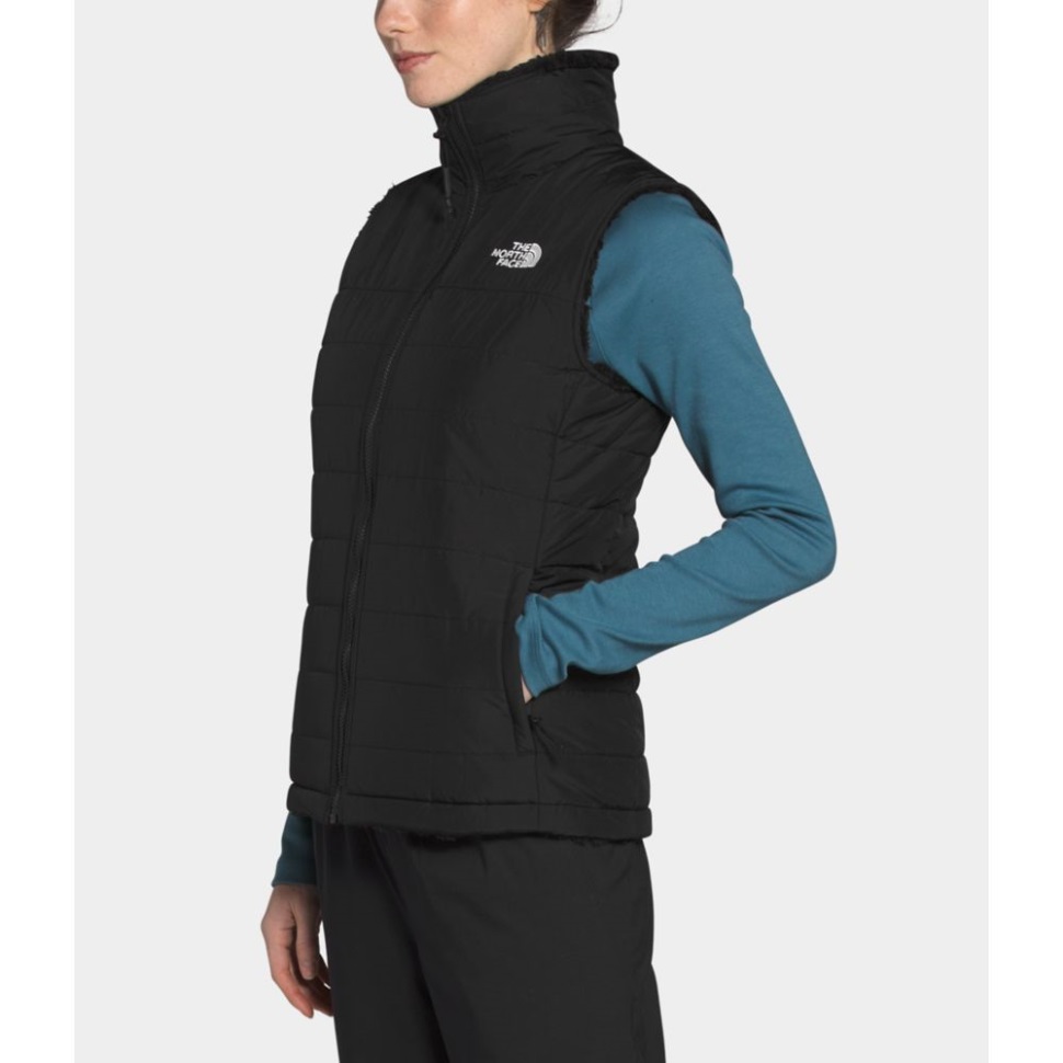 المرأة السوداء سترة عكسية معزول الطحلب الوجه الشمالي