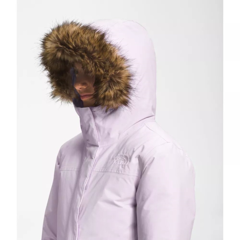 خزامى ضباب بنات القطب الشمالي باركا الوجه الشمالي