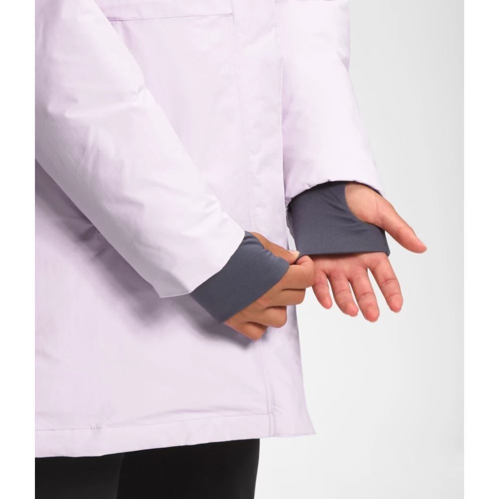 خزامى ضباب بنات القطب الشمالي باركا الوجه الشمالي