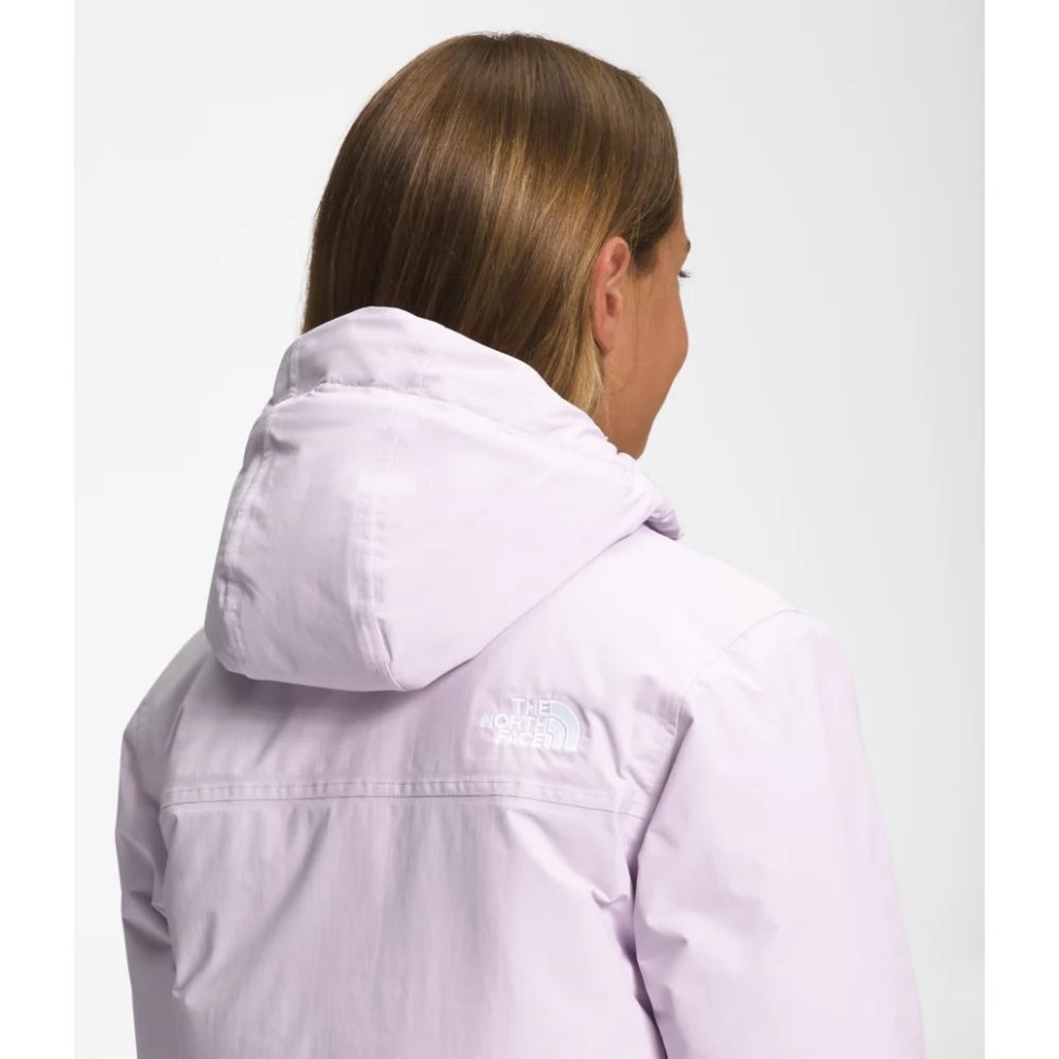 خزامى ضباب بنات القطب الشمالي باركا الوجه الشمالي