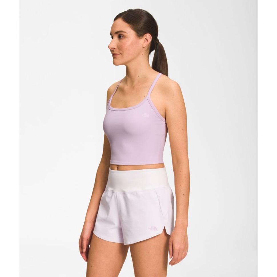 ضباب الخزامى الوجه الشمالي للمرأة الكثبان الرملية Sky Tanklette