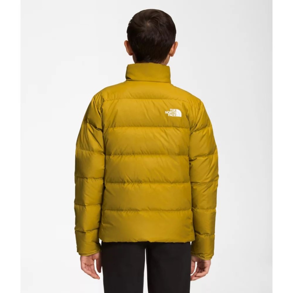 الذهب المعدني الوجه الشمالي في سن المراهقة عكسها شمال أسفل سترة