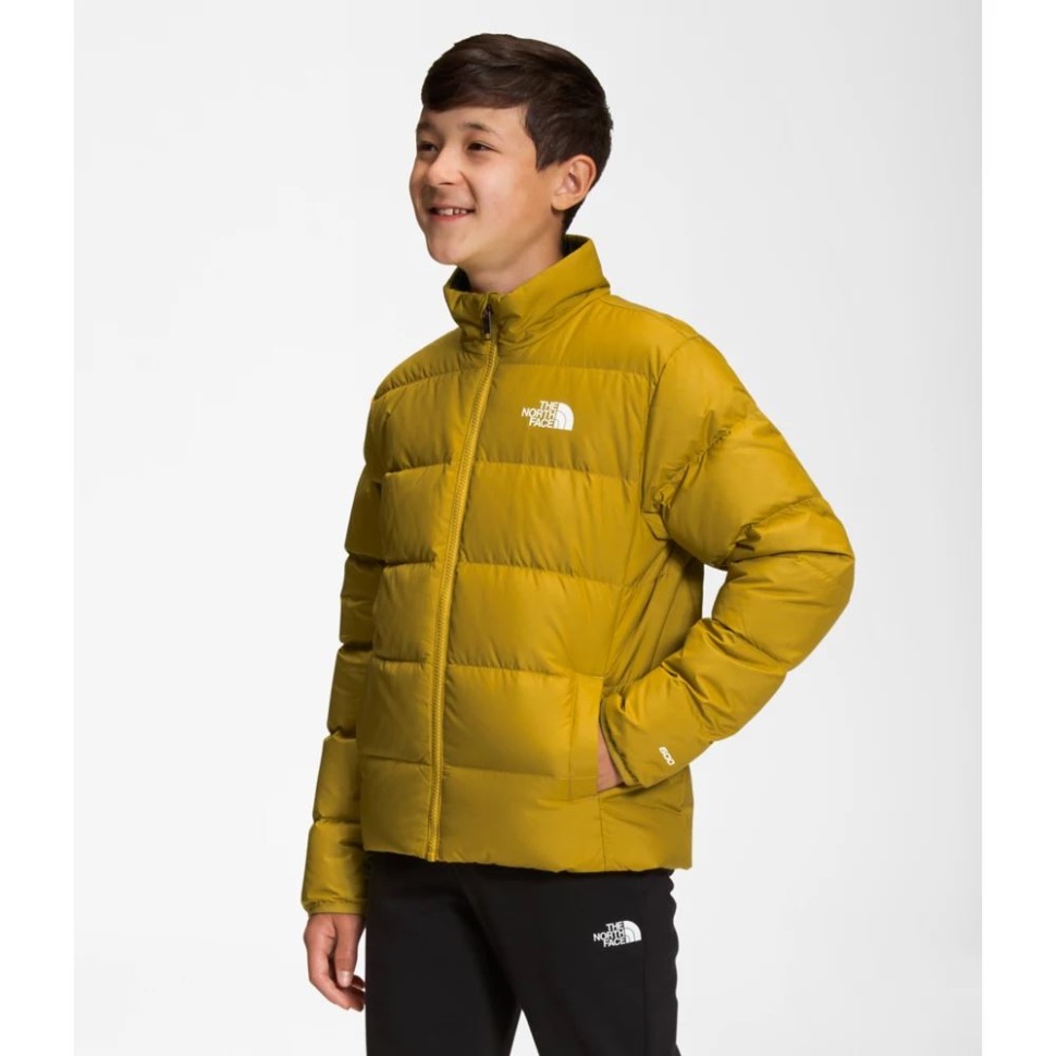 الذهب المعدني الوجه الشمالي في سن المراهقة عكسها شمال أسفل سترة