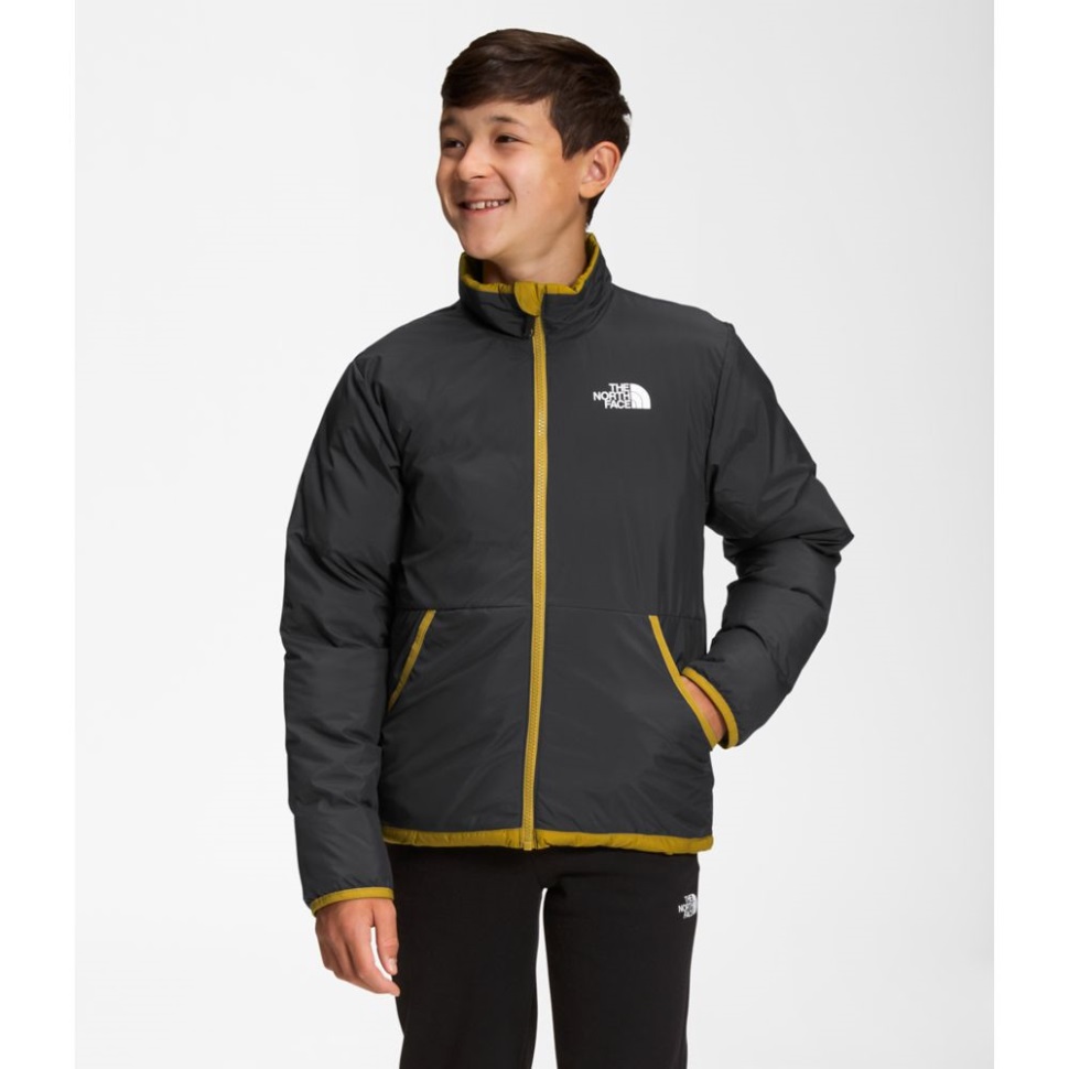 الذهب المعدني الوجه الشمالي في سن المراهقة عكسها شمال أسفل سترة