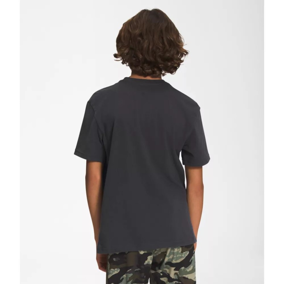 تي شيرت أولاد ذي نورث فيس برسومات بأكمام قصيرة باللون الرمادي