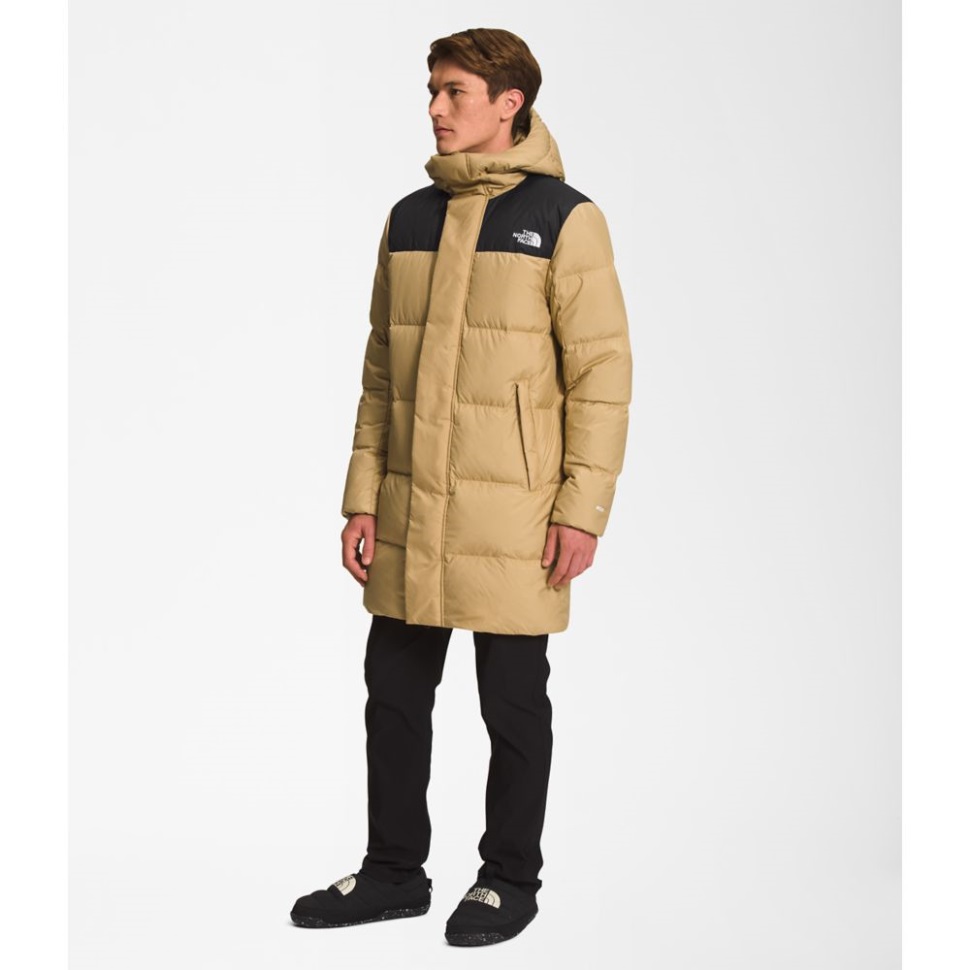 يواجه الشمال رجال الهيدريناليت أسفل منتصف تان