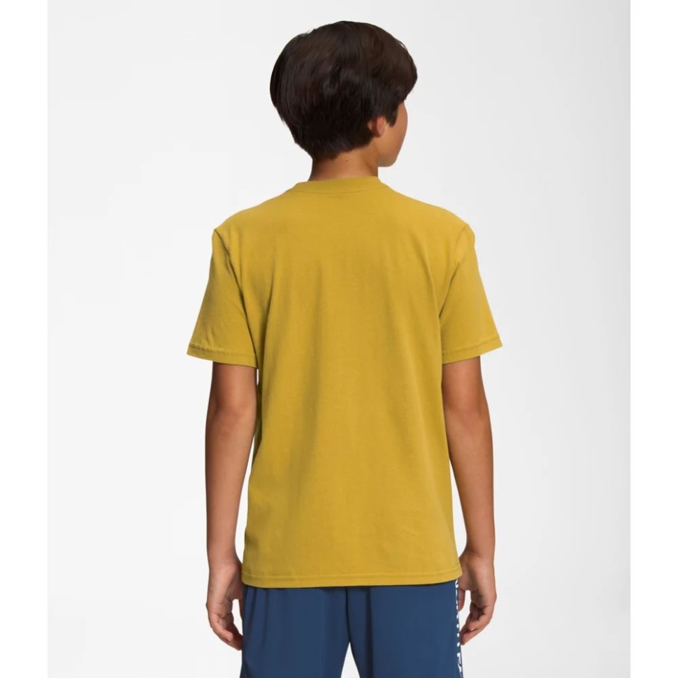 تي شيرت للأولاد من ذا نورث فيس برسومات بأكمام قصيرة