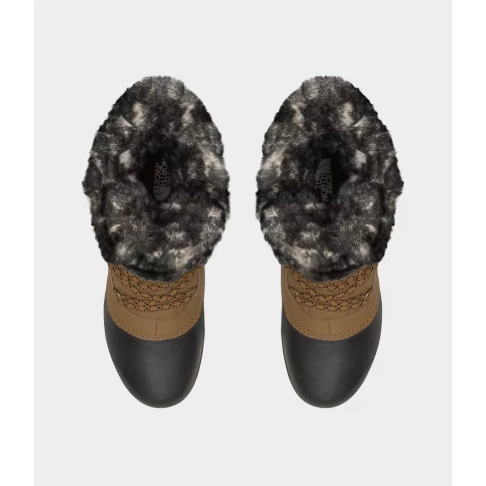 وجه الشمال فائدة البني المرأة Shilista Iv أحذية لوكس للماء