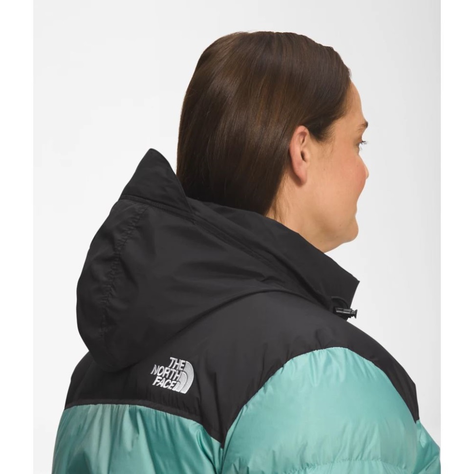 The North Face Women Plus 1996 ريترو Nuptse سترة الوسابي