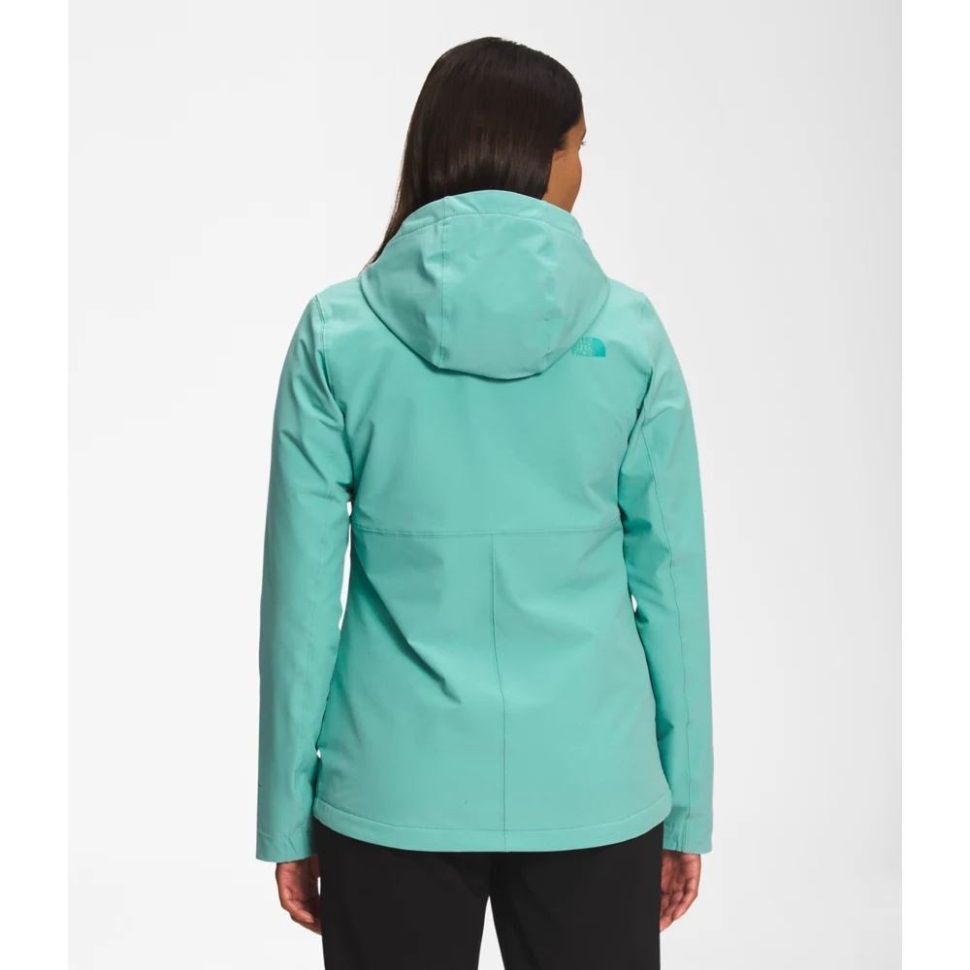 هودي شيلبي راشيل من Wasabi The North Face Women