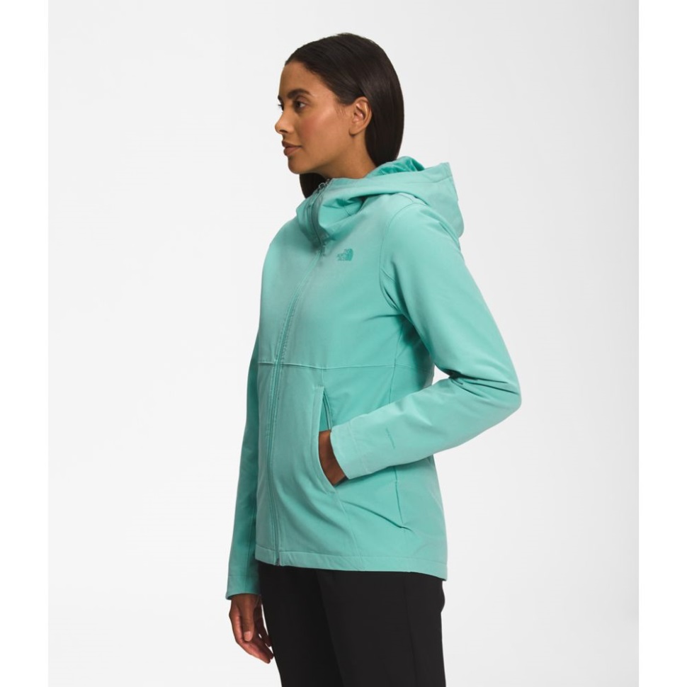 هودي شيلبي راشيل من Wasabi The North Face Women