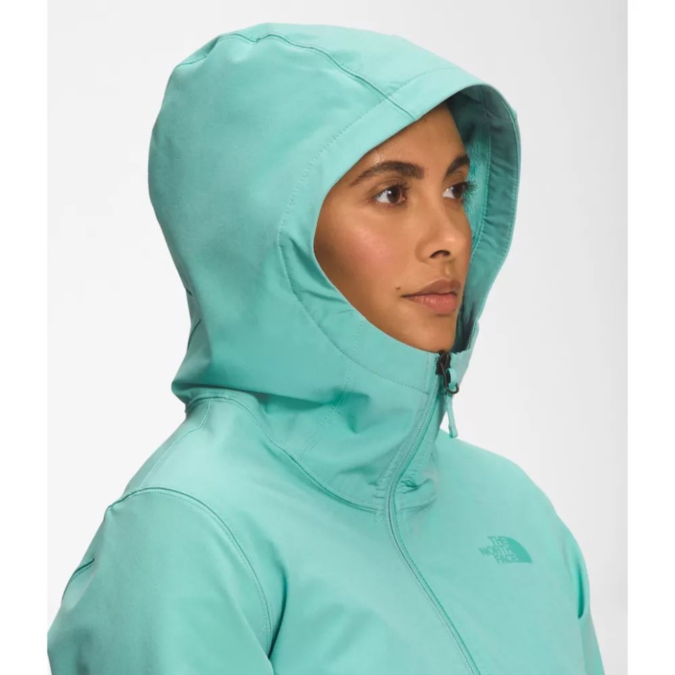 هودي شيلبي راشيل من Wasabi The North Face Women