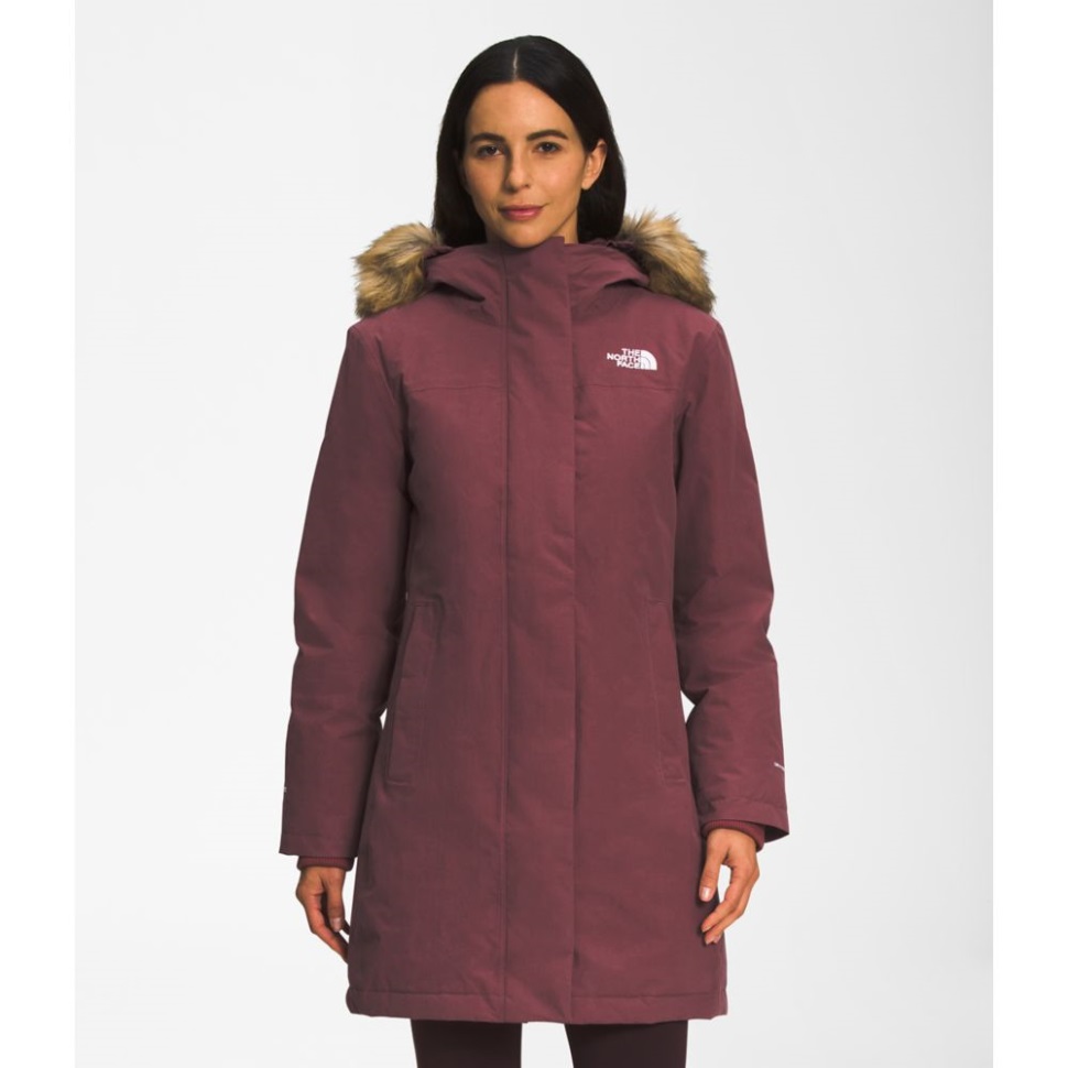 المرأة في القطب الشمالي باركا الزنجبيل الوجه الشمالي