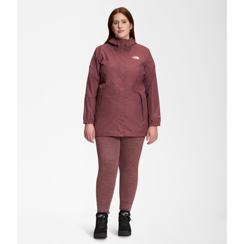 المرأة بالإضافة إلى أنتورا باركا الزنجبيل الوجه الشمالي