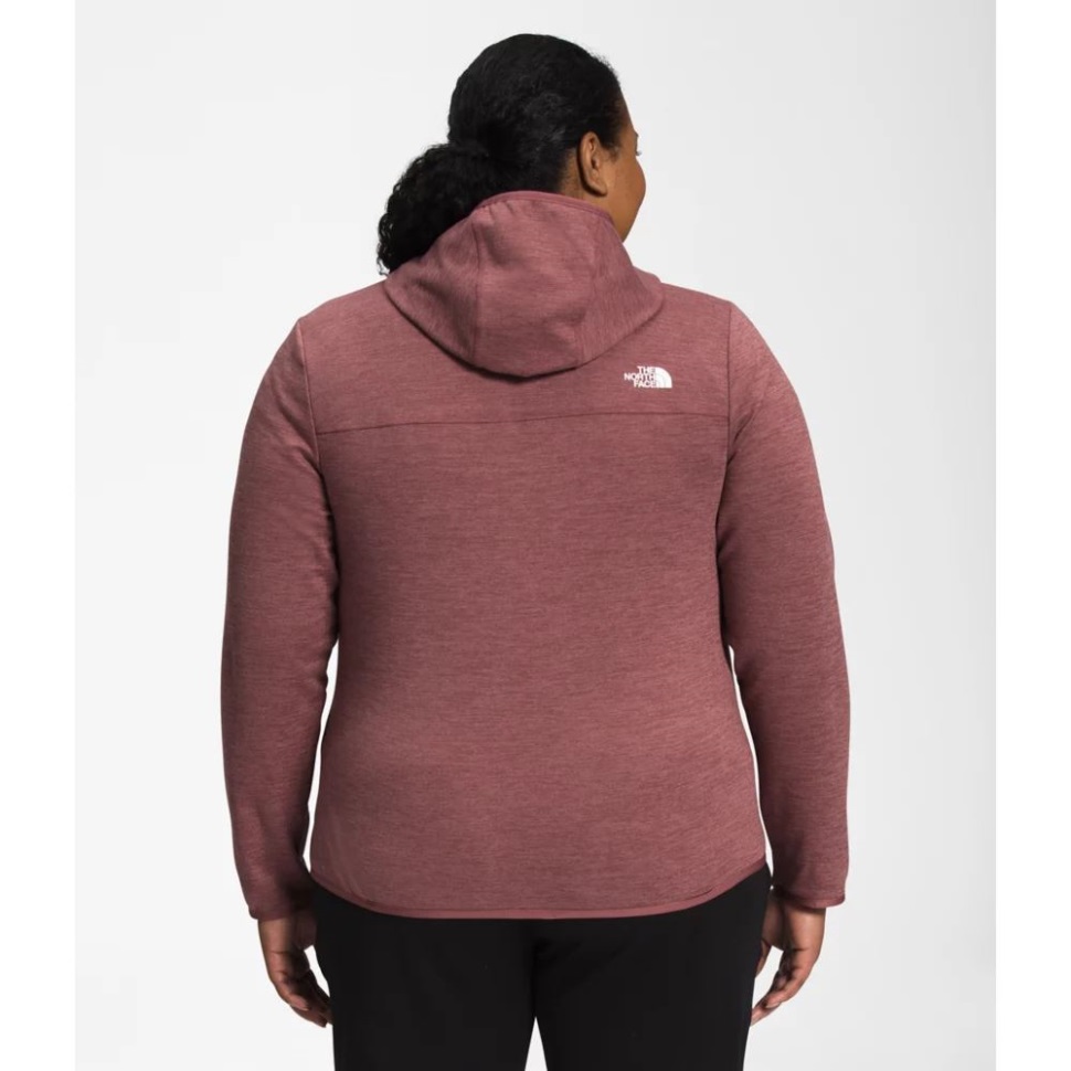 Women Plus Canyonlands Hoodie The North Face Heather Heather