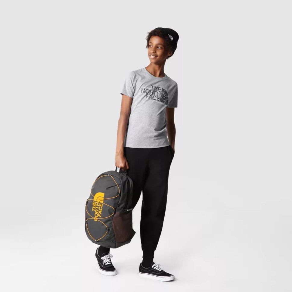 تيشيرت للأولاد برسومات بأكمام قصيرة رمادي وجه الشمال