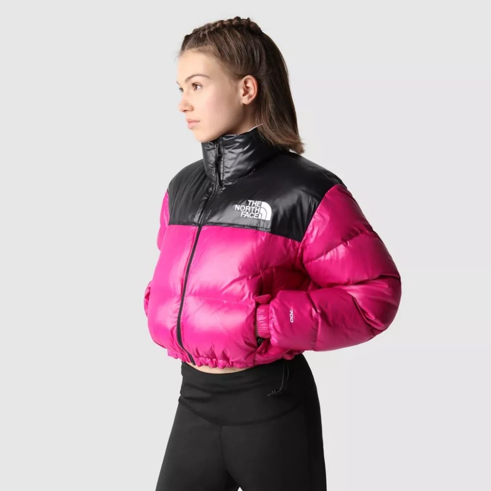 Fuschia الوردي المرأة Nuptse سترة قصيرة الوجه الشمالي