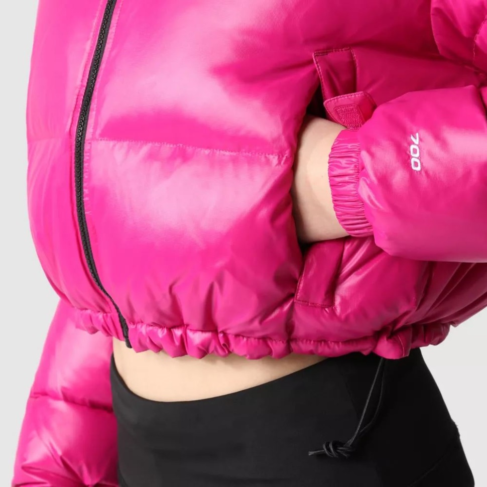 Fuschia الوردي المرأة Nuptse سترة قصيرة الوجه الشمالي