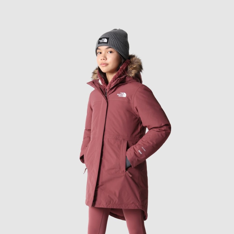 الفتيات الزنجبيل القطب الشمالي باركا الوجه الشمالي