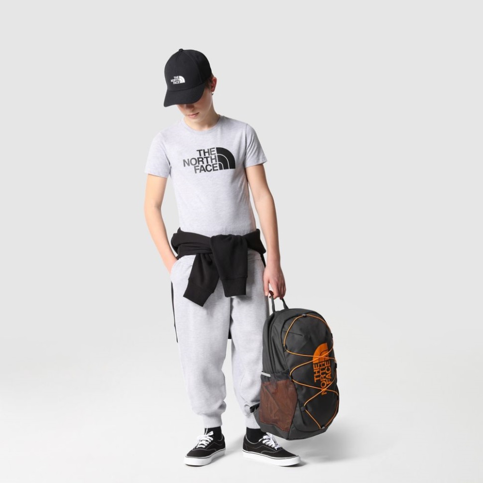 تيشيرت رمادى الوجه الشمالي المراهقين سهل بأكمام قصيرة