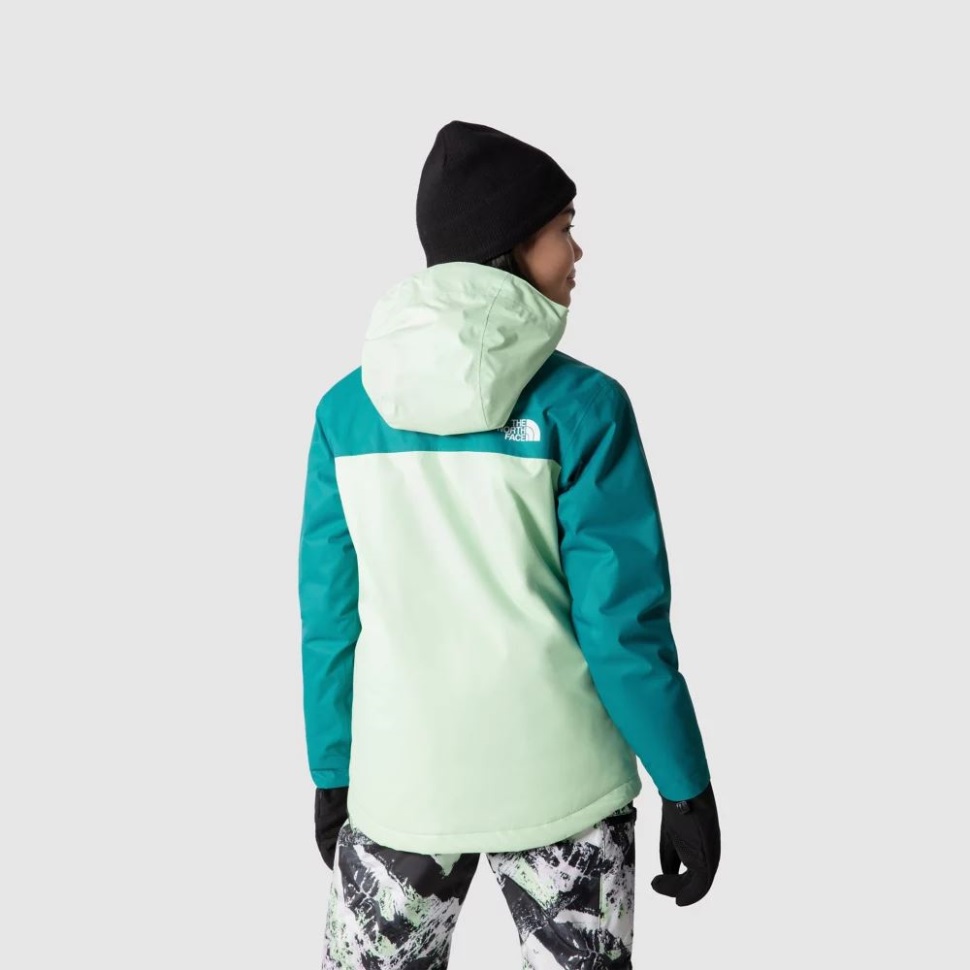 الزنجار الأخضر الزنجار والوجه الشمالي سنجكويست بالإضافة إلى سترة معزولة