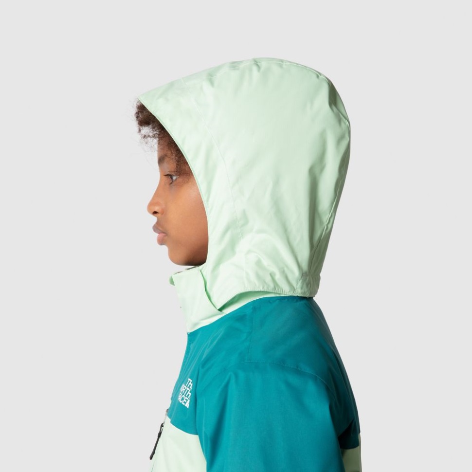 الزنجار الأخضر الزنجار والوجه الشمالي سنجكويست بالإضافة إلى سترة معزولة