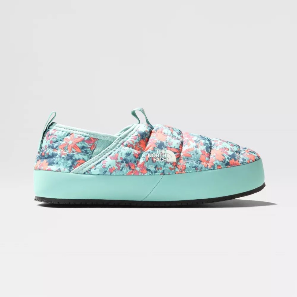 الشعاب المرجانية في الشمال تواجه المراهقين في فصل الشتاء بالجدار الحراري الجر الثاني