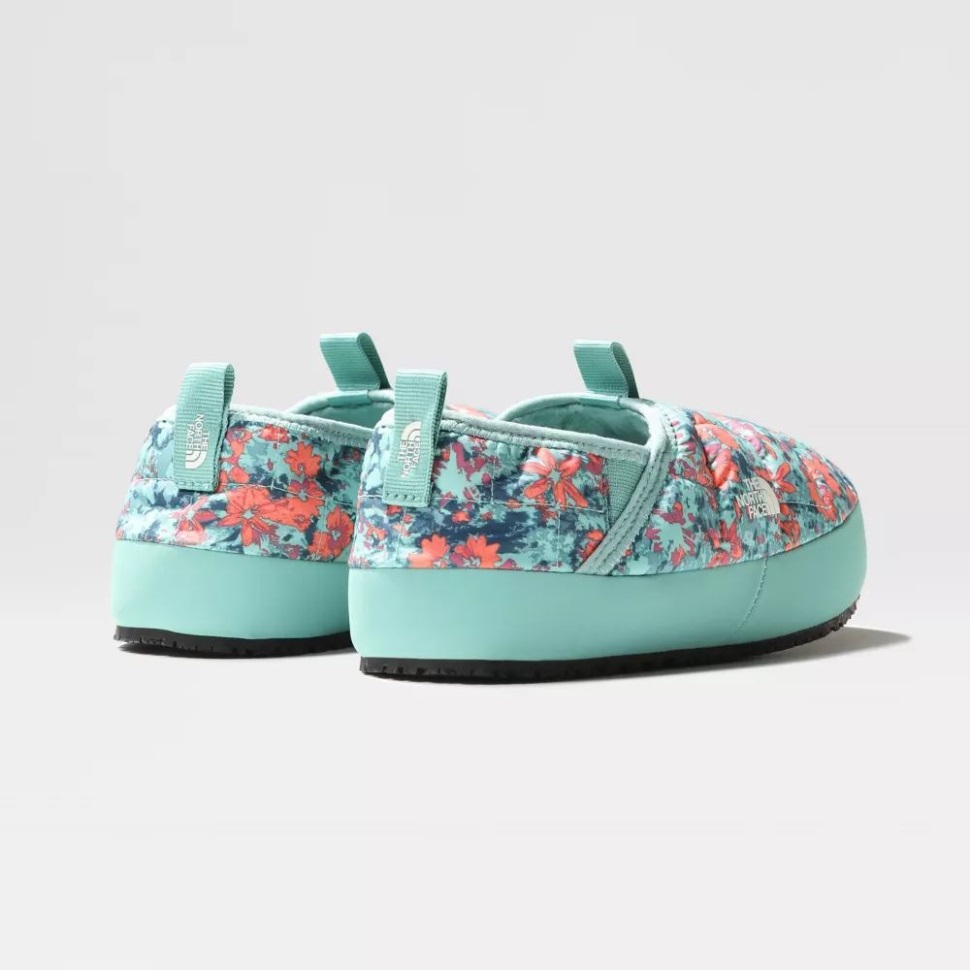 الشعاب المرجانية في الشمال تواجه المراهقين في فصل الشتاء بالجدار الحراري الجر الثاني