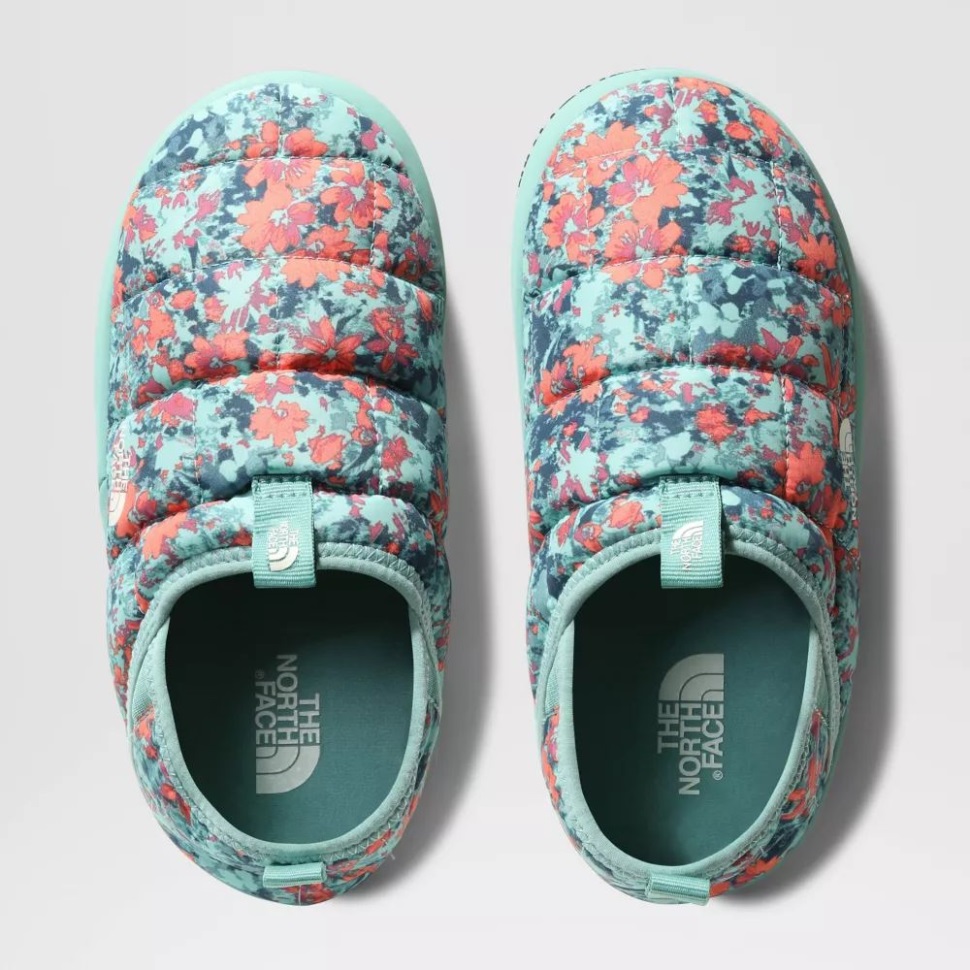 الشعاب المرجانية في الشمال تواجه المراهقين في فصل الشتاء بالجدار الحراري الجر الثاني