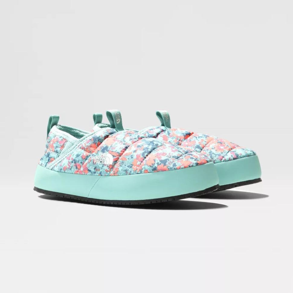 الشعاب المرجانية في الشمال تواجه المراهقين في فصل الشتاء بالجدار الحراري الجر الثاني