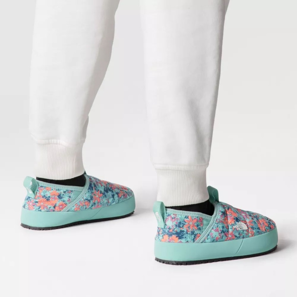 الشعاب المرجانية في الشمال تواجه المراهقين في فصل الشتاء بالجدار الحراري الجر الثاني