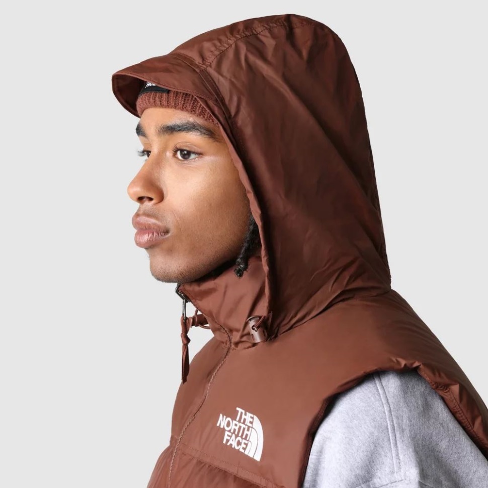 الوجه الشمالي الرجال البلوط الداكن 1996 ريترو Nuptse جيليه