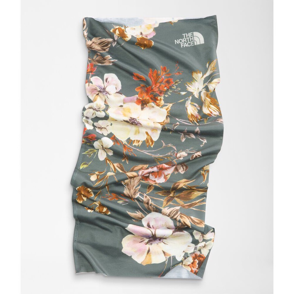 الوجه الشمالي للغطس يغطيه بلسم أخضر