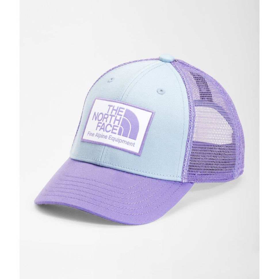 سائق الشاحنة الشبابي وجه الشمال أزرق بيتا