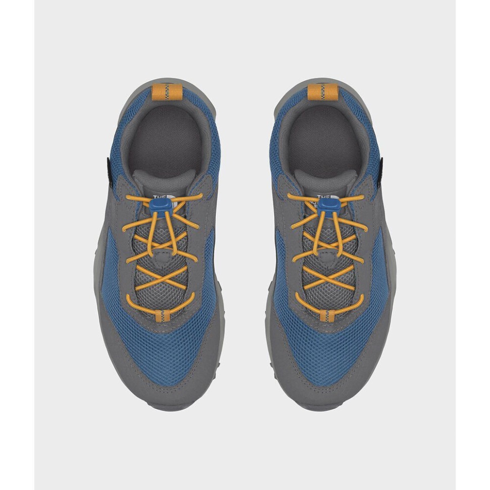 حذاء Hiker Ii Hiker Ii مضاد للماء باللون الرمادي للوجه الشمالي