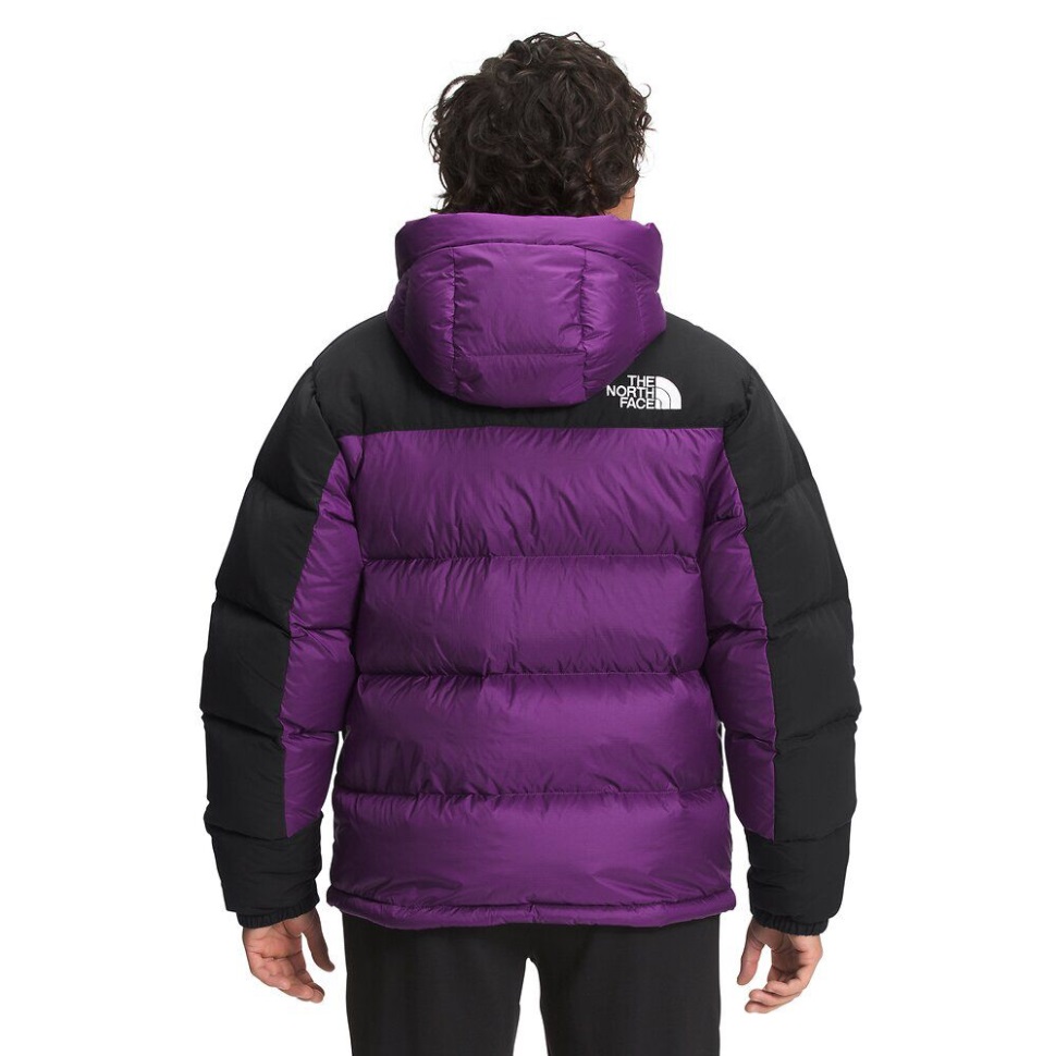 الجاذبية الأرجواني الوجه الشمالي للرجال Hmlyn أسفل سترة