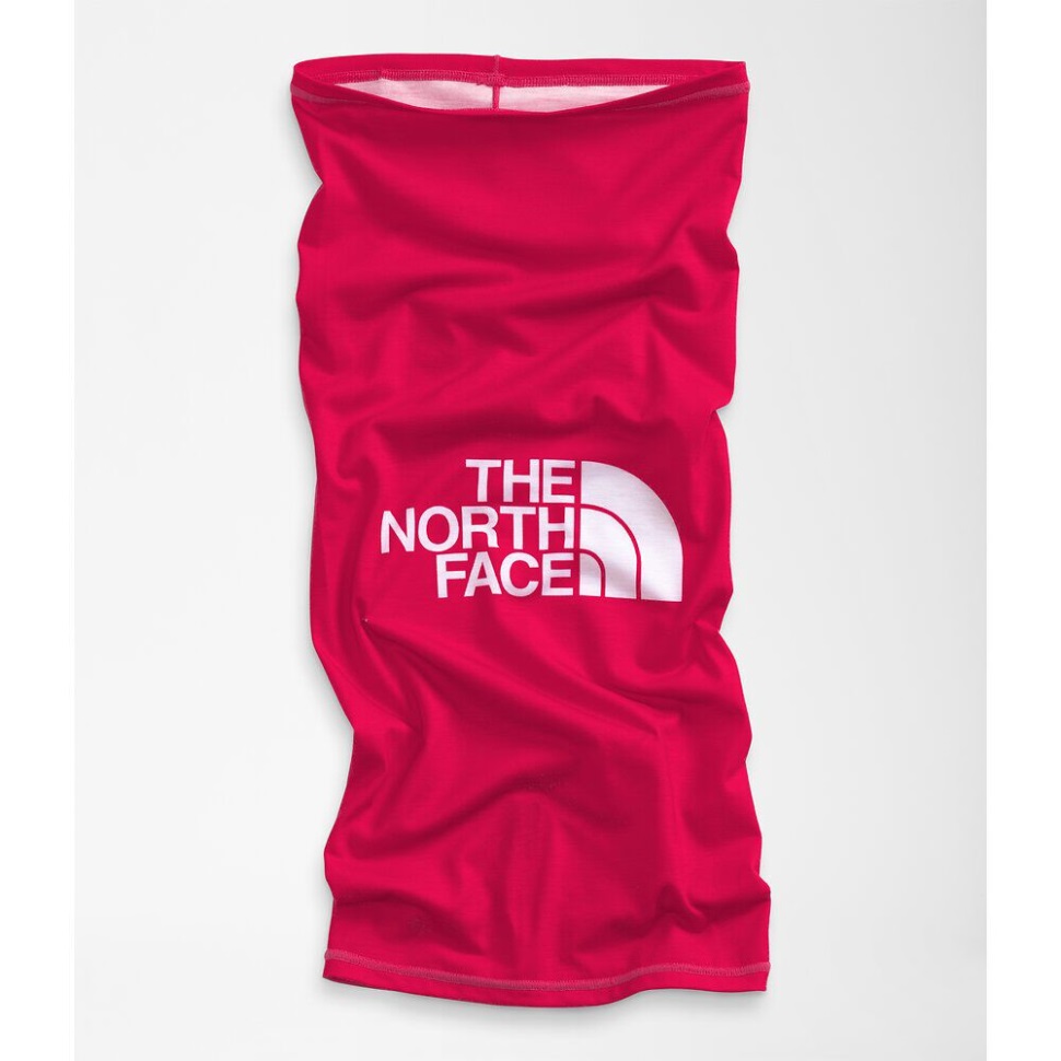 الغطس المرجاني اللامع يغطيه 2.0 الوجه الشمالي