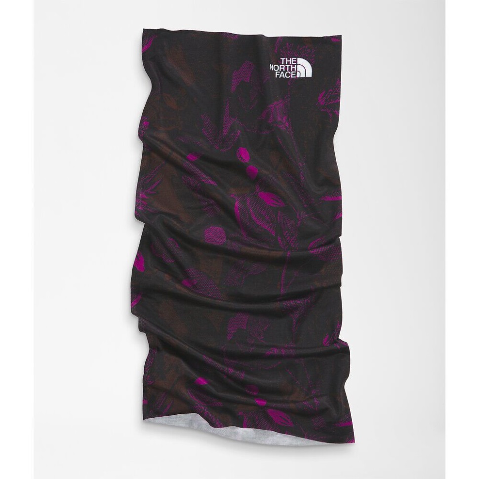 قم بتغطيته بالوجه الشمالي